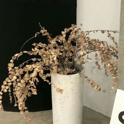 剑川FurryQQ群介绍